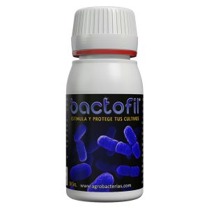 Bactofill  50Gr