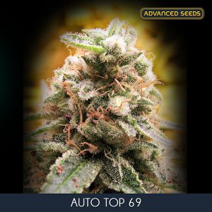 Auto Top 69 – 10 u. fem. Advanced Seeds