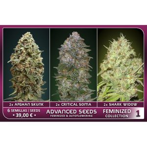 Female Collection #1 – Advanced Seeds
